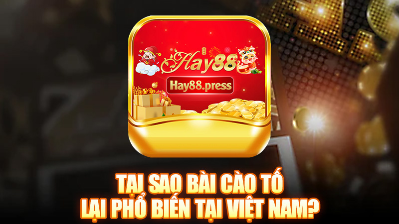 Tại sao bài cào tố lại phổ biến tại Việt Nam?